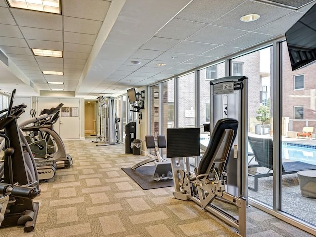 gym with expansive windows, a drop ceiling, and light colored carpet