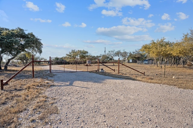 view of yard featuring a rural view