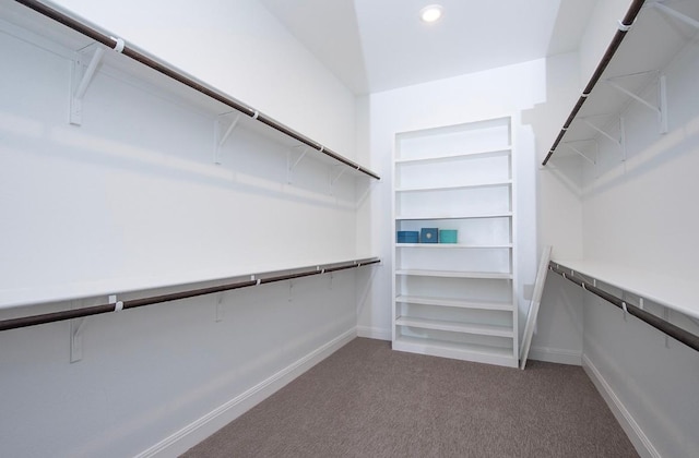 spacious closet with carpet