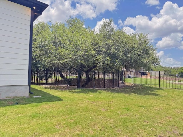 109 Martingale St, Georgetown, TX 78633 - photo 37