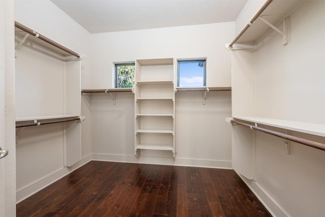 walk in closet featuring dark wood-type flooring