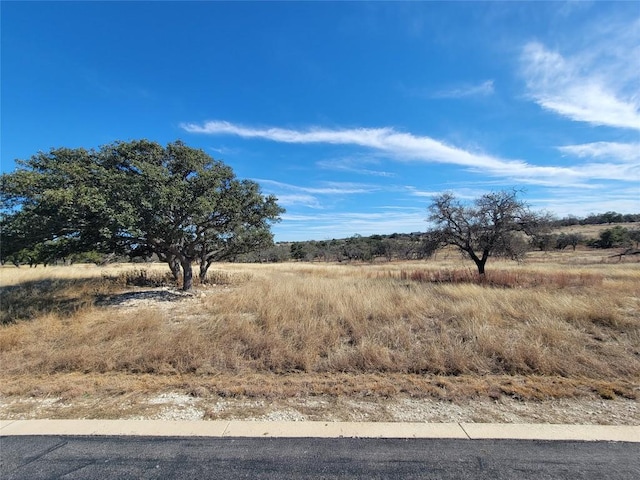 Listing photo 2 for 120 Crepe Myrtle Ct, Fredericksburg TX 78624