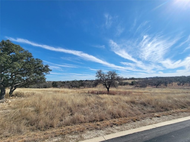 Listing photo 3 for 120 Crepe Myrtle Ct, Fredericksburg TX 78624