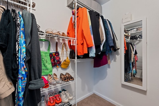 spacious closet featuring carpet flooring