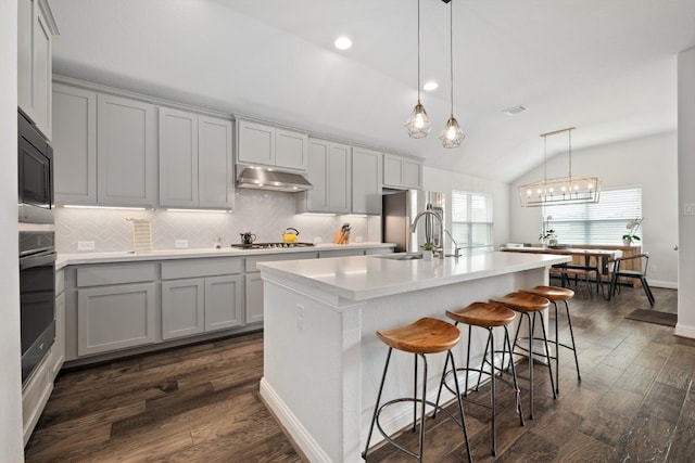 513 Elworth Path, Lakeway, TX 78738 - kitchen featuring vaulted ceiling, under cabinet range hood, tasteful backsplash, appliances with stainless steel finishes, and dark wood-style flooring