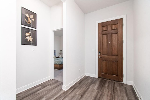 entrance foyer featuring dark wood-type flooring