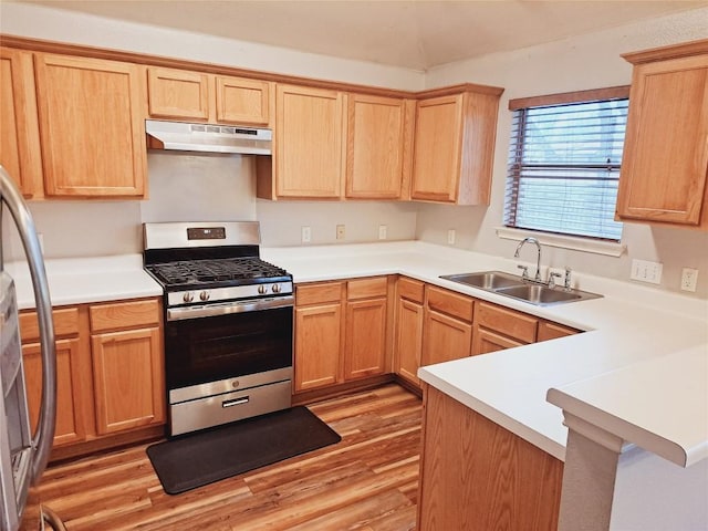 kitchen with sink, stainless steel appliances, light hardwood / wood-style floors, and kitchen peninsula