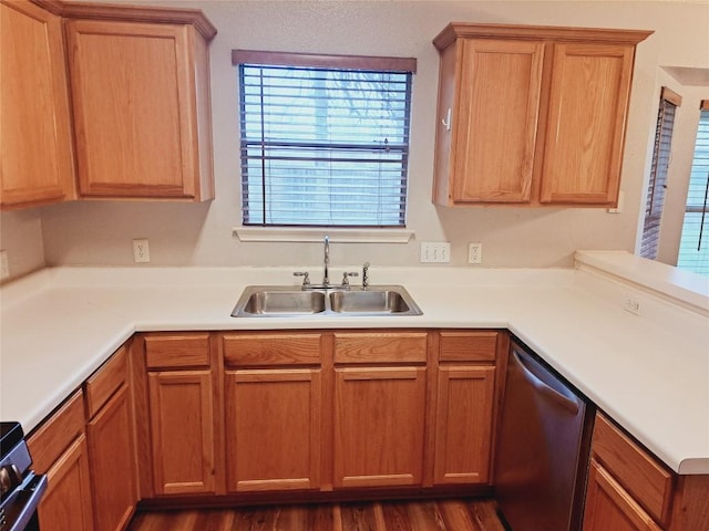 kitchen featuring dark hardwood / wood-style flooring, sink, and dishwasher