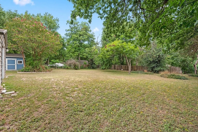 view of yard with a storage shed