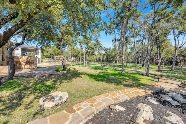 3701 Copper Ridge Ct, Austin, TX 78734 - view of green lawn
