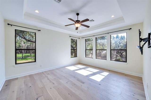 3701 Copper Ridge Ct, Austin, TX 78734 - unfurnished room with a raised ceiling, plenty of natural light, crown molding, light wood-style floors, and a ceiling fan