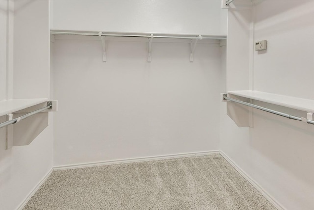 spacious closet with light carpet