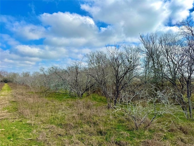 view of nature