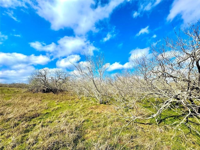 view of nature