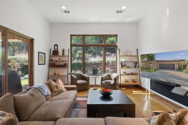 living room featuring wood-type flooring and a healthy amount of sunlight