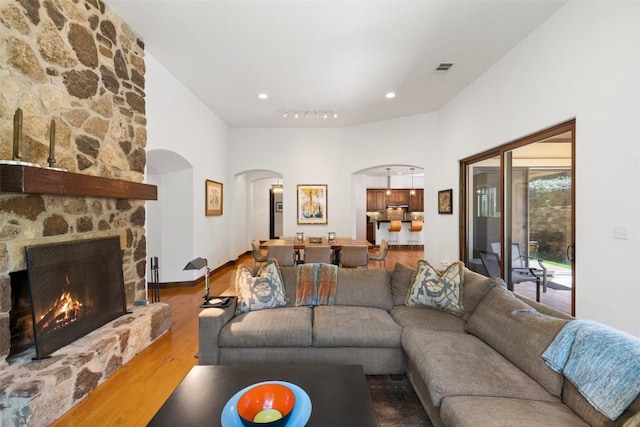 living room featuring a fireplace and wood-type flooring