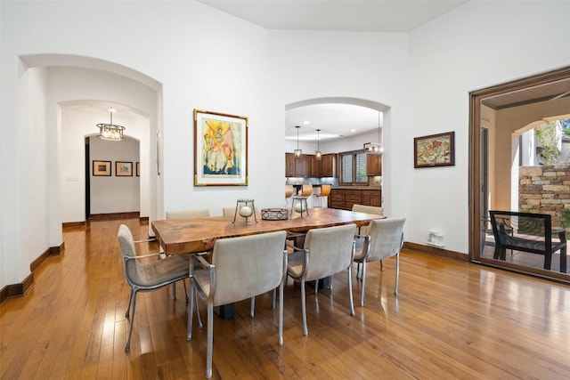 dining room featuring a healthy amount of sunlight and light hardwood / wood-style floors