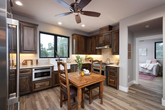 kitchen with dark brown cabinetry, light hardwood / wood-style flooring, stainless steel appliances, and ceiling fan