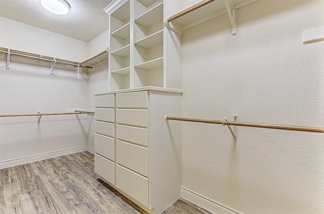 spacious closet with light hardwood / wood-style floors