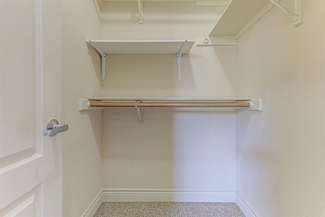 walk in closet featuring carpet flooring