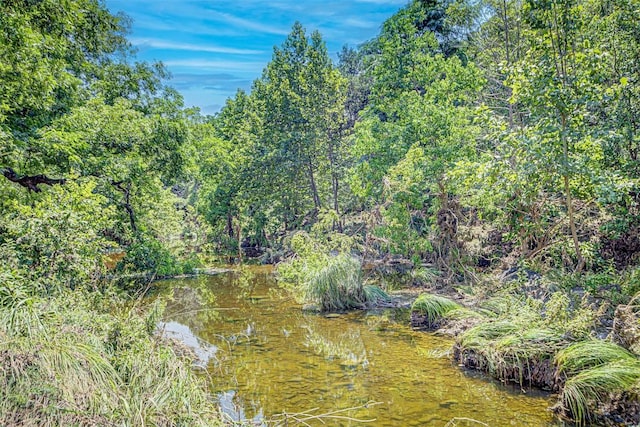 view of local wilderness