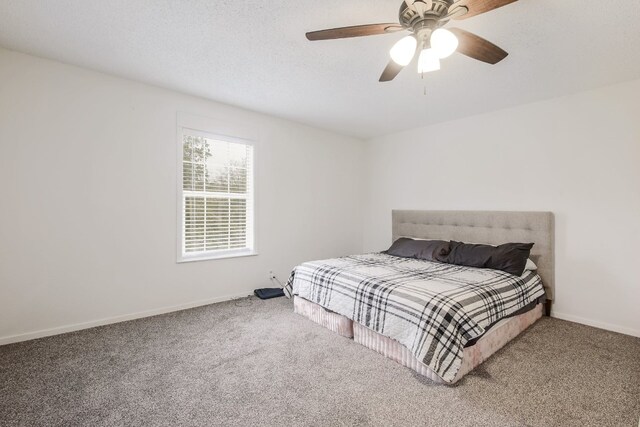 1000 Ledbetter St, Round Rock, TX 78681 - bedroom with carpet flooring and ceiling fan