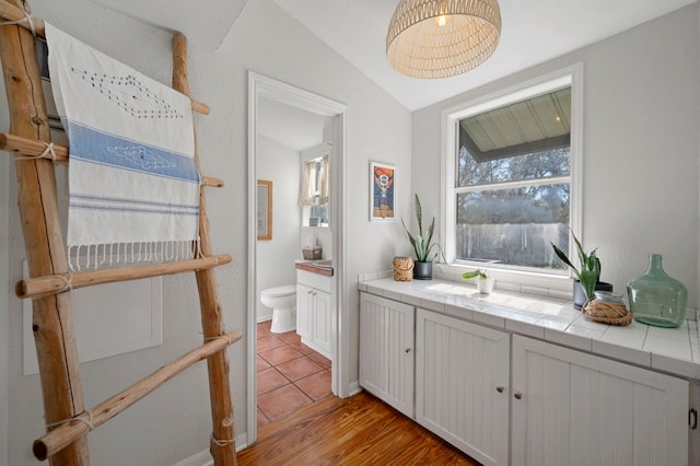 bathroom featuring lofted ceiling, vanity, wood-type flooring, and toilet