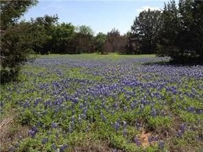 Listing photo 2 for LOT5-A Ridge Harbor Dr, Spicewood TX 78669