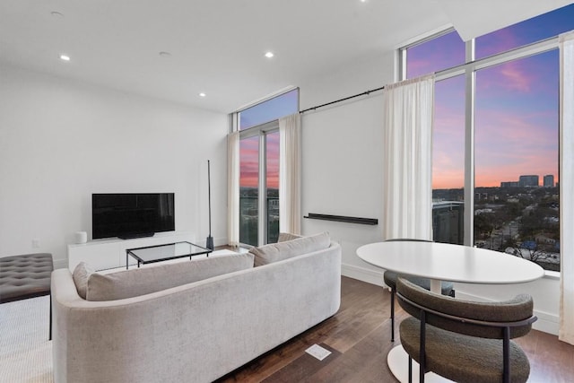 living room featuring dark hardwood / wood-style floors and a wall of windows