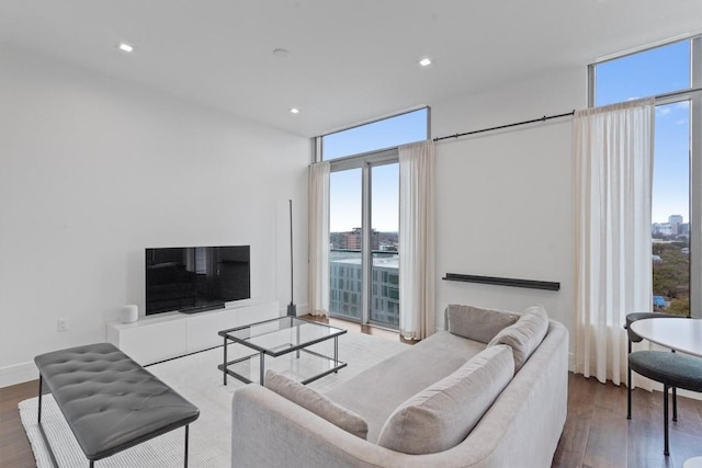 living room with hardwood / wood-style flooring and a wall of windows