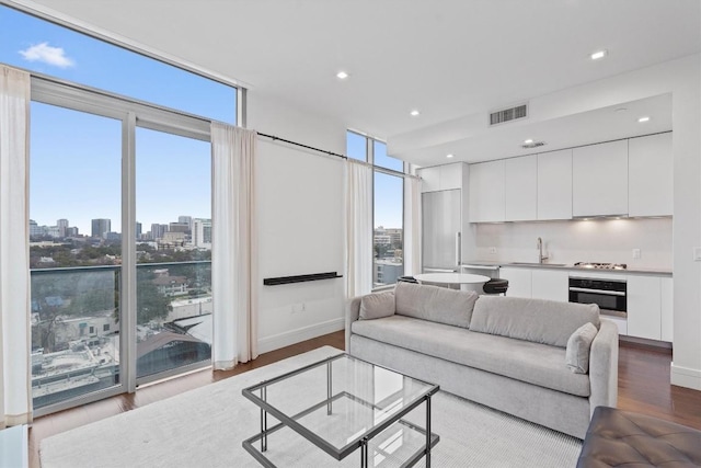 living room with sink, light hardwood / wood-style floors, and floor to ceiling windows