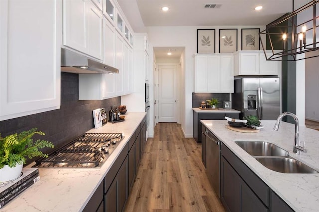 2516 Carretera Dr, Leander, TX 78641 - kitchen with light wood finished floors, a sink, stainless steel appliances, visible vents, and under cabinet range hood