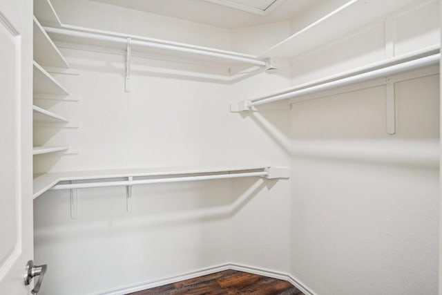 walk in closet with dark wood-type flooring