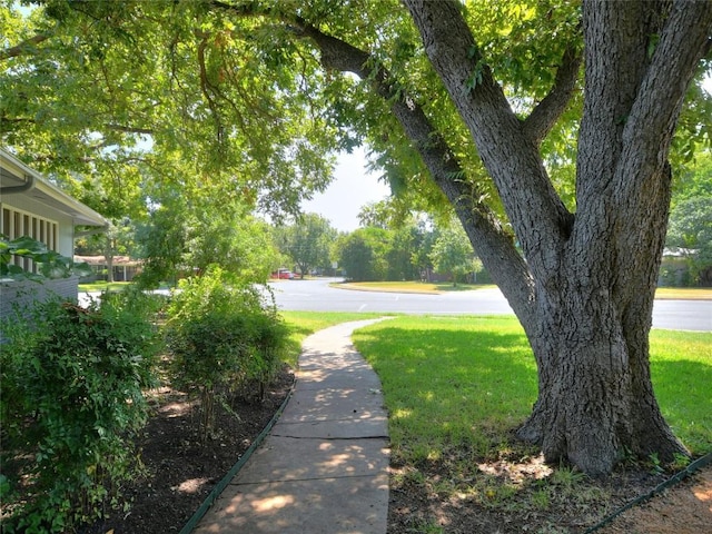 view of home's community featuring a yard