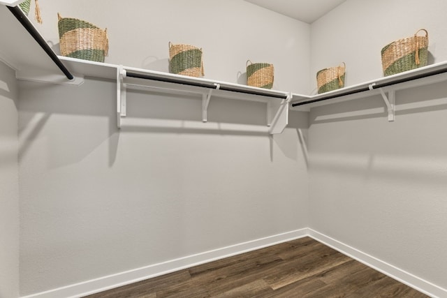 spacious closet featuring hardwood / wood-style floors