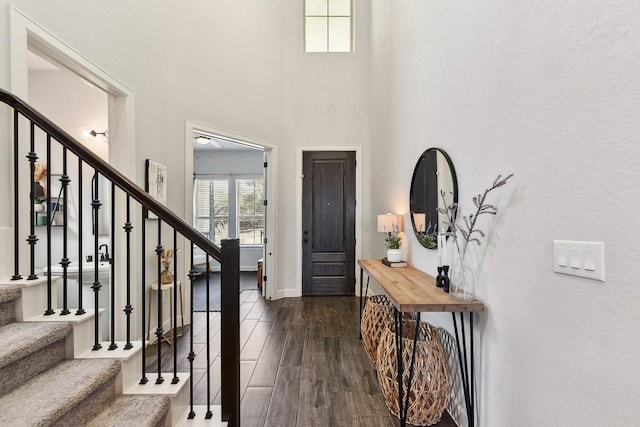 foyer featuring dark hardwood / wood-style floors and a high ceiling