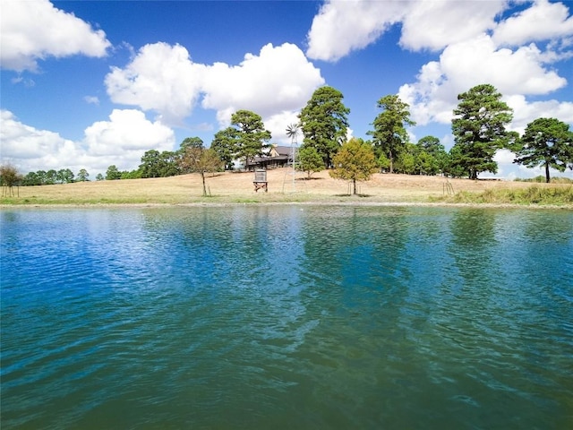 view of water feature