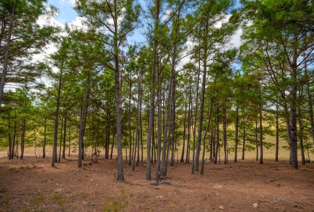 0000 Gotier Trace Rd, Smithville, TX 78957 - view of nature