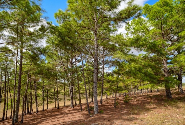 0000 Gotier Trace Rd, Smithville, TX 78957 - view of undeveloped land