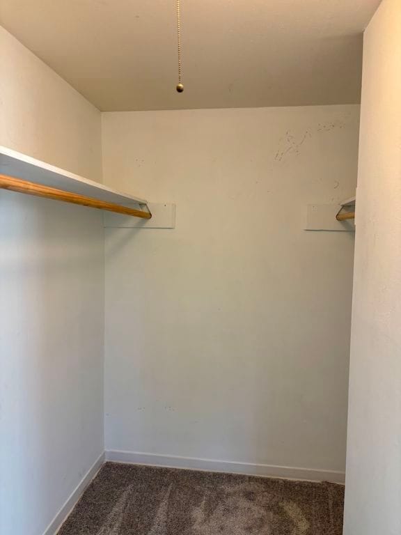 2102 W 11th St Unit A, Austin, TX 78703 - spacious closet with carpet flooring