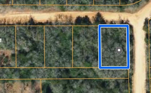 TBD Navarro Dr, Hilltop Lakes, TX 77871