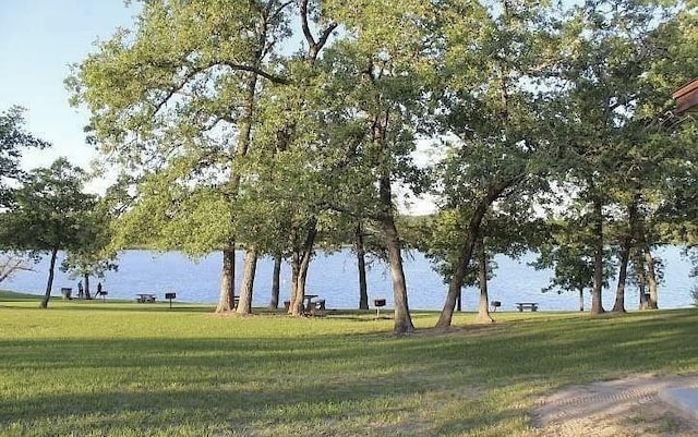 TBD Navarro Dr, Hilltop Lakes, TX 77871