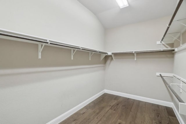 walk in closet featuring lofted ceiling and dark hardwood / wood-style flooring