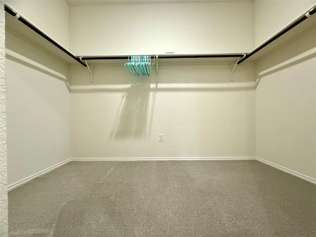 walk in closet featuring carpet floors