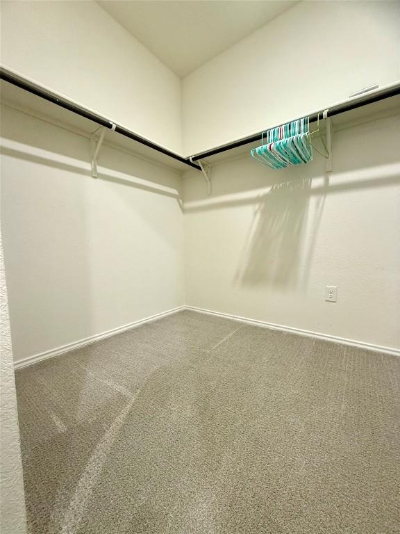 spacious closet with carpet flooring