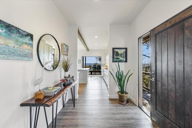 interior space with dark wood-type flooring