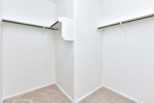 walk in closet featuring light colored carpet