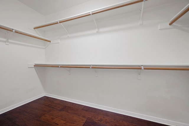walk in closet with dark wood-style flooring
