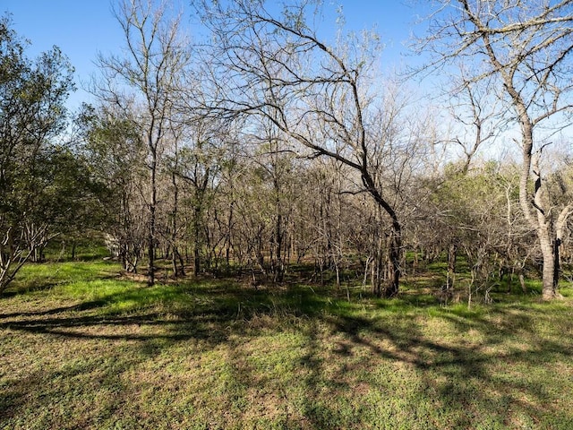view of landscape
