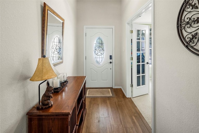 entryway with wood-type flooring